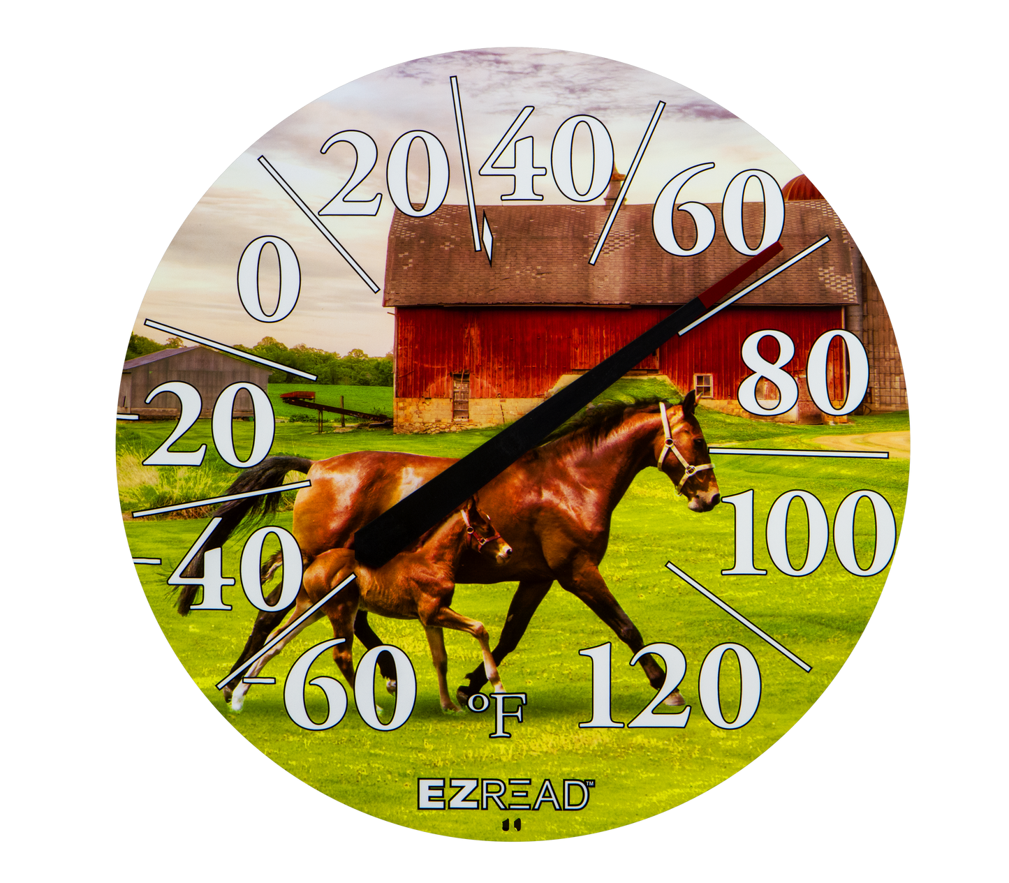 EZREAD® 12.5" Dial Thermometers