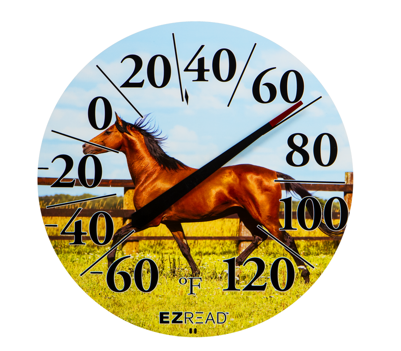 EZREAD® 12.5" Dial Thermometers