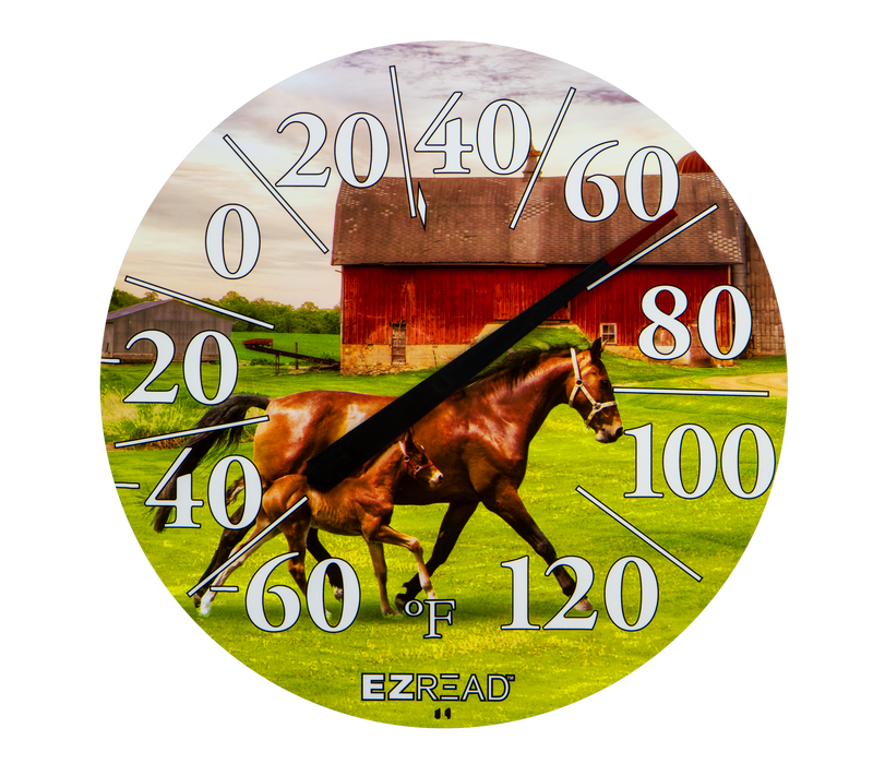 EZREAD® 12.5" Dial Thermometers