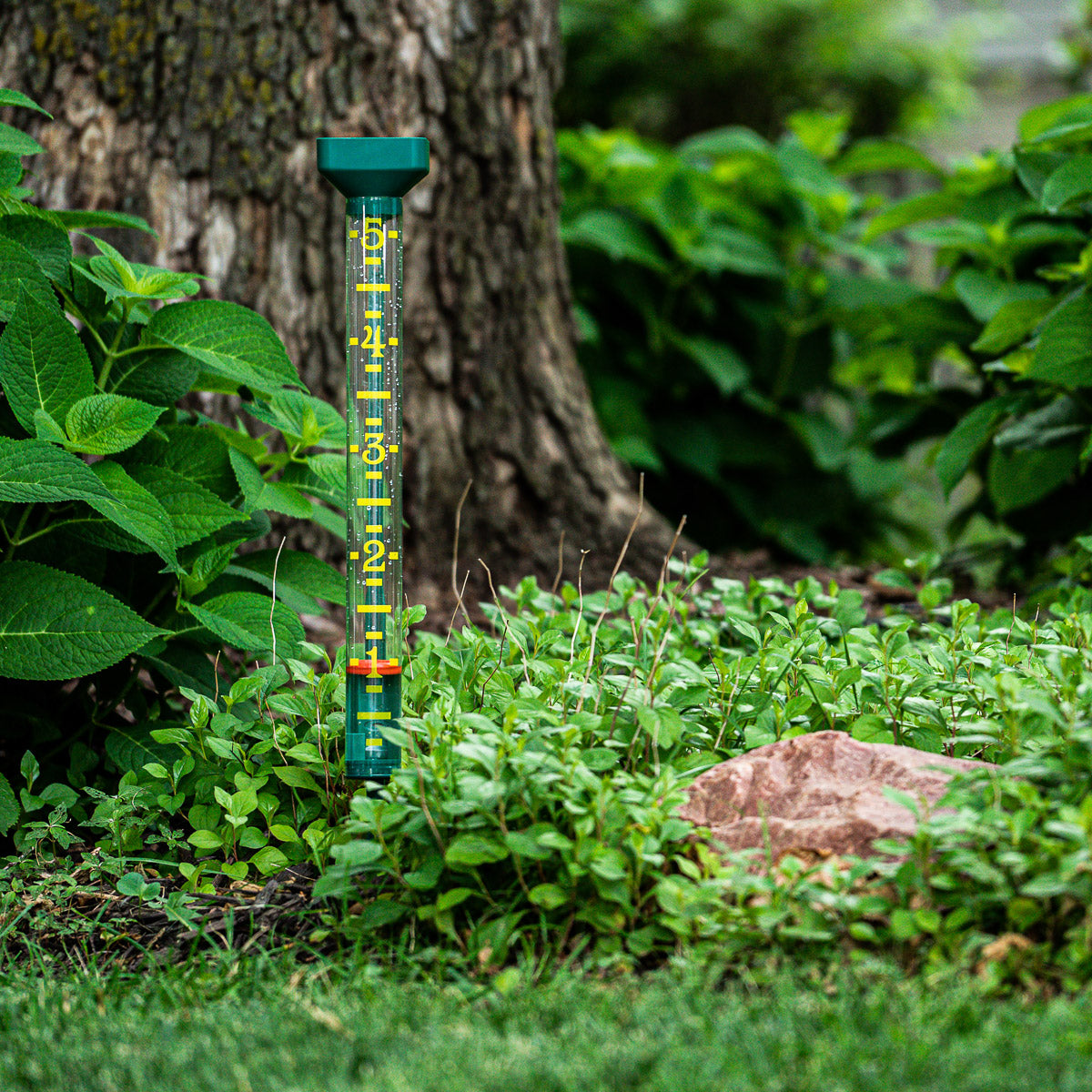 Rain Gauges