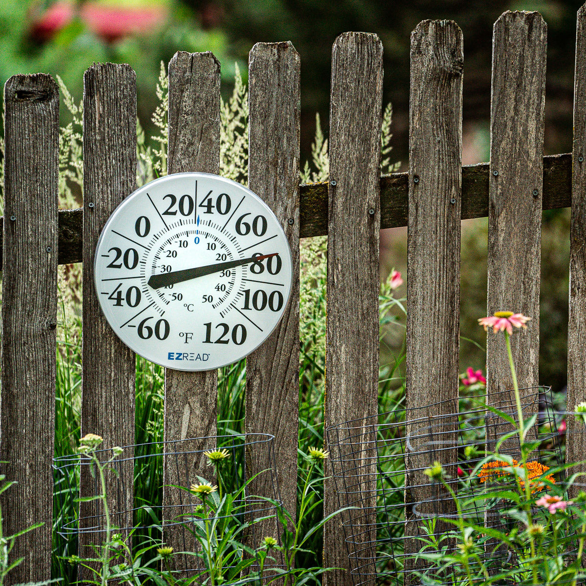 Dial Thermometers