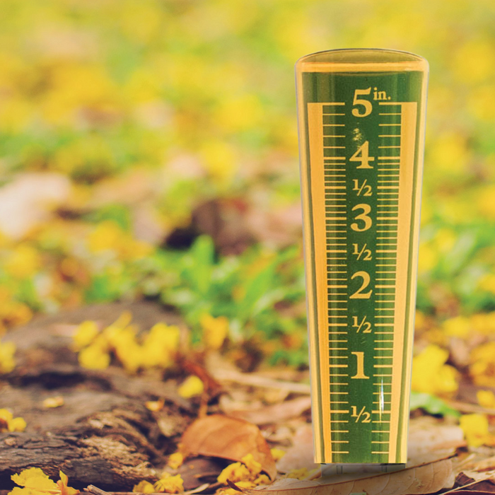 EZREAD® Magnifying Rain Gauge